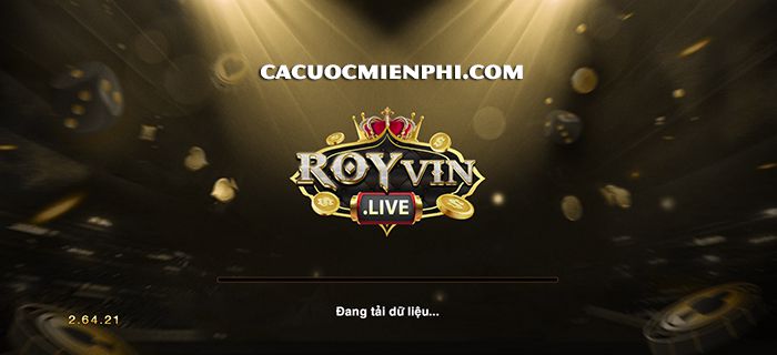 royvin-live-1